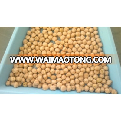 Origin Turkey Chickpeas 8mm