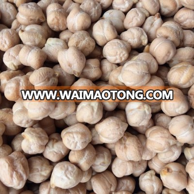 chickpeas Origin TURKEY 9MM NON gmo