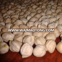 High Quality Indian Chickpeas